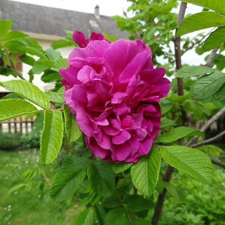 La Paumanelle Corbelin