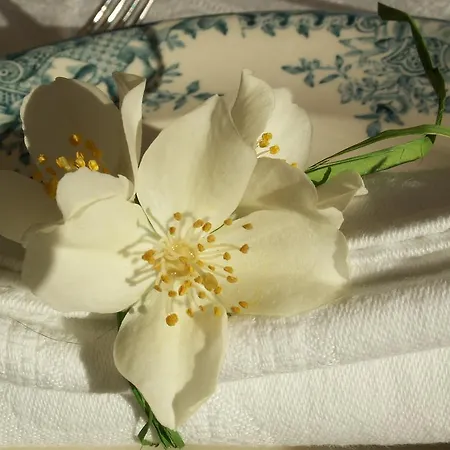 La Paumanelle Bed & Breakfast