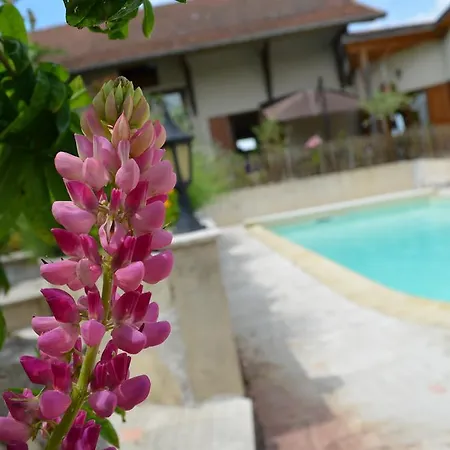 La Paumanelle Bed & Breakfast 3*
